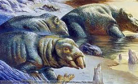 Dinossauros - Placerias