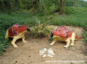 Protocerátopo