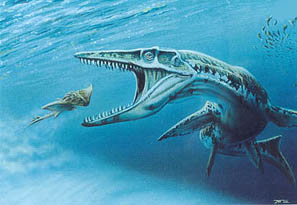 Dinossauros - Tylosaurus