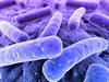O que é 'síndrome do intestino permeável'