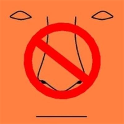 O que é Anosmia
