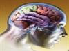 O que é Morte do tronco cerebral