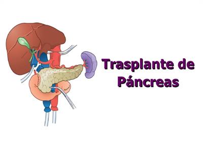 Transplante de pâncreas