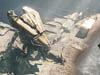 Crysis 3 Announced for Spring 2013 Release Date - New Weapons, Story and Enemies