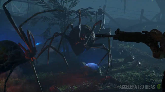 Spiders